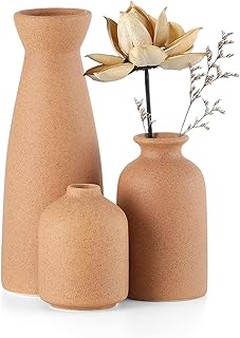 Descubre Alternativas a los Jarrones para Pampas en Decoración