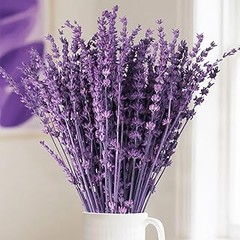 Descubre las Mejores Alternativas a la Lavanda Preservada
