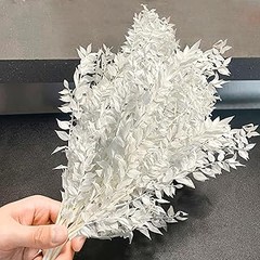 Descubre alternativas al ruscus preservado para tu decoración