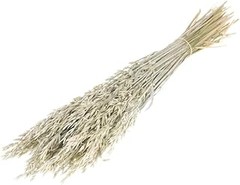 ¿Por qué usar avena seca decorativa para embellecer tu casa?