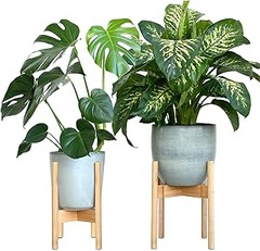 ¿Cuánto peso puede soportar un soporte de bambú para plantas?