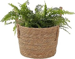 ¿Qué son las cestas para plantas con flores?