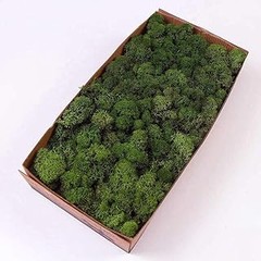 Ideas para combinar musgo preservado con otras decoraciones