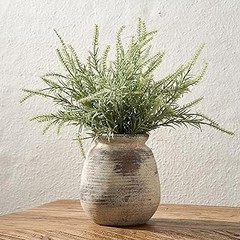 Ideas para Combinar Plantas y Jarrones Rústicos en tu Hogar