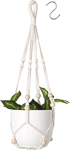 Guía para crear un jardín vertical usando macetas colgantes
