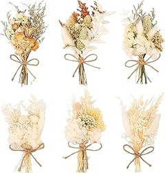 Consejos prácticos para mantener tus flores preservadas en perfecto estado
