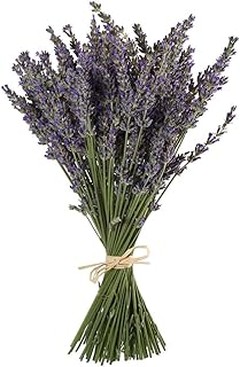 Guía práctica para cuidar y mantener la lavanda preservada