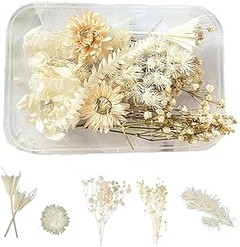 Cuidado y mantenimiento de tus mezclas de flores secas