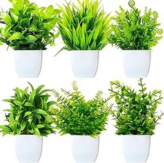 Consejos para el Cuidado y Limpieza de Plantas Artificiales Pequeñas