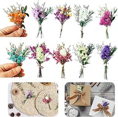 Ideas para Usar Kits de Flores Preservadas en la Decoración del Hogar