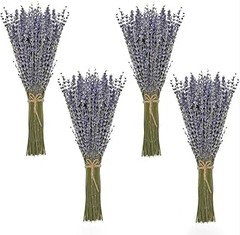 Crea hermosos arreglos florales con lavanda preservada