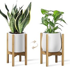 Guía para instalar un soporte de bambú para tus plantas