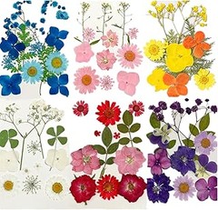 ** Guía para limpiar y preparar flores secas en manualidades