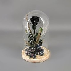 Consejos para cuidar flores preservadas en cúpulas
