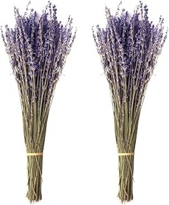 Mejores Marcas de Lavanda Preservada: Comparativa y Análisis