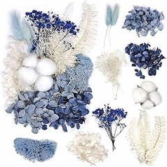 ¿Flores Preservadas o Frescas? Ventajas y Desventajas
