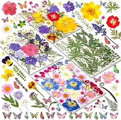 ¿Flores Secas o Flores Artificiales para Tus Manualidades?