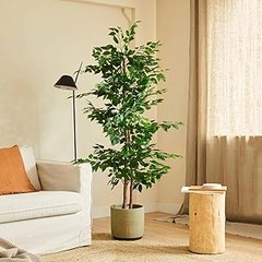 Plantas Artificiales o Naturales para Sobremesa: ¿Cuál Elegir?