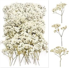 Guía para comprar flores preservadas online: Factores clave a considerar
