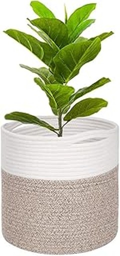 Cómo Combinar Cestas Forradas con Flores de Manera Perfecta