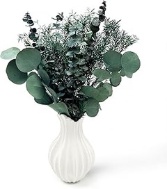 Consejos para el Mantenimiento de Kits de Flores Preservadas