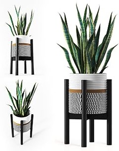 Cómo integrar soportes de bambú en la decoración de interiores