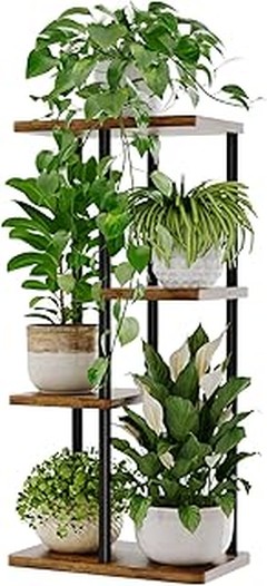 Comparativa de soportes de pie ajustables y fijos para plantas