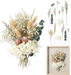 Las mejores tiendas para comprar flores secas para manualidades