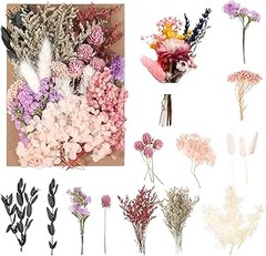 Mejores Plazas para Comprar Mezclas de Flores Secas en Línea