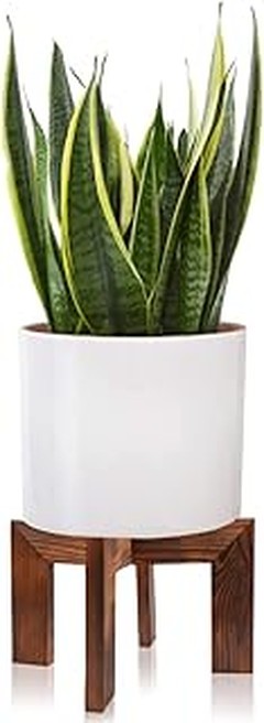 Las mejores tiendas para comprar soportes bajos para plantas