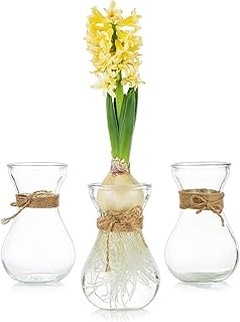 ¿Cuál es la mejor base de cristal para tus arreglos florales?