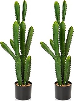 Evita estos errores al comprar cactus artificiales para tu hogar