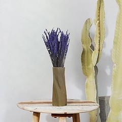 Errores Frecuentes al Comprar Lavanda Preservada para tu Hogar