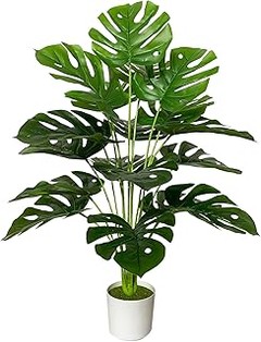 Evita estos errores al elegir tu monstera artificial