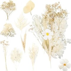 Problemas Frecuentes al Usar Mezclas de Flores Secas y Cómo Solucionarlos
