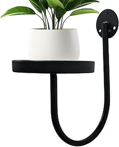 Problemas comunes al usar soportes de pared para plantas