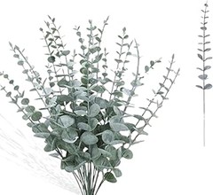 Comparativa entre eucalipto preservado y flores secas para decorar tu hogar