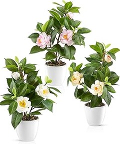 Consejos esenciales para comprar camelias artificiales