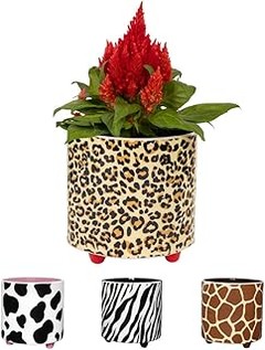 Cómo elegir las mejores macetas boho para tu hogar