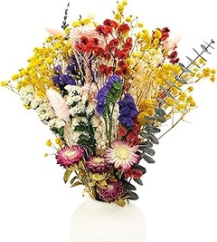 Cómo Elegir Flores Preservadas para Cuadros Decorativos
