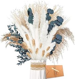 Cómo Elegir las Mejores Flores Secas para Jarrón
