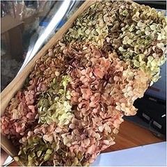 Cómo Elegir Hortensias Preservadas según tu Estilo de Decoración