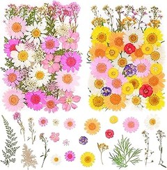Inspira tu Hogar: Ideas de Decoración con Mezclas de Flores Secas