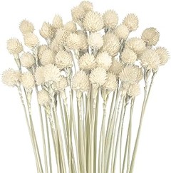 Ideas únicas para decorar con flores secas en diferentes espacios de tu hogar