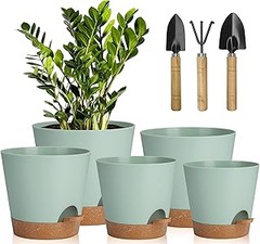 Cómo Decorar tus Exteriores con Macetas Boho