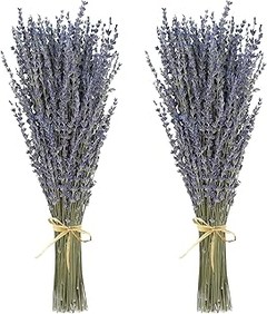 Comparativa entre lavanda preservada y flores artificiales
