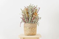 Las mejores flores preservadas para decorar tus eventos