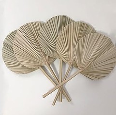 ¿Dónde encontrar las palmas secas decorativas más económicas?