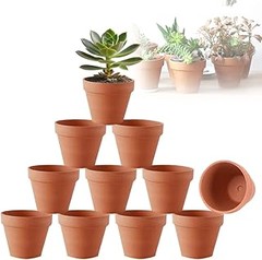 Las mejores macetas pequeñas para plantas de interior