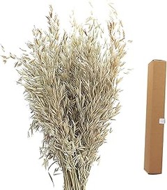 Comparativa de las mejores marcas de avena seca decorativa